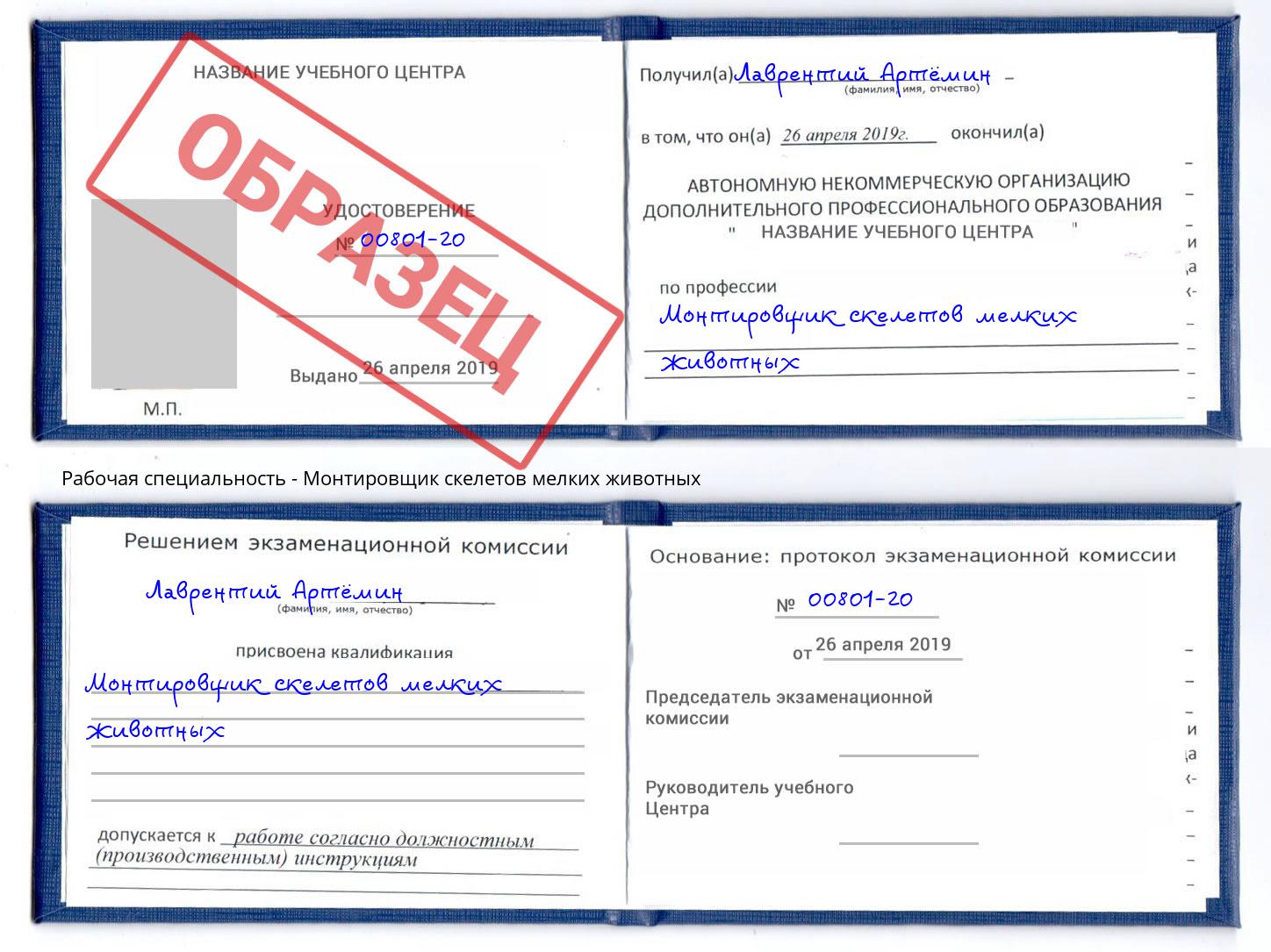 Монтировщик скелетов мелких животных Зеленокумск