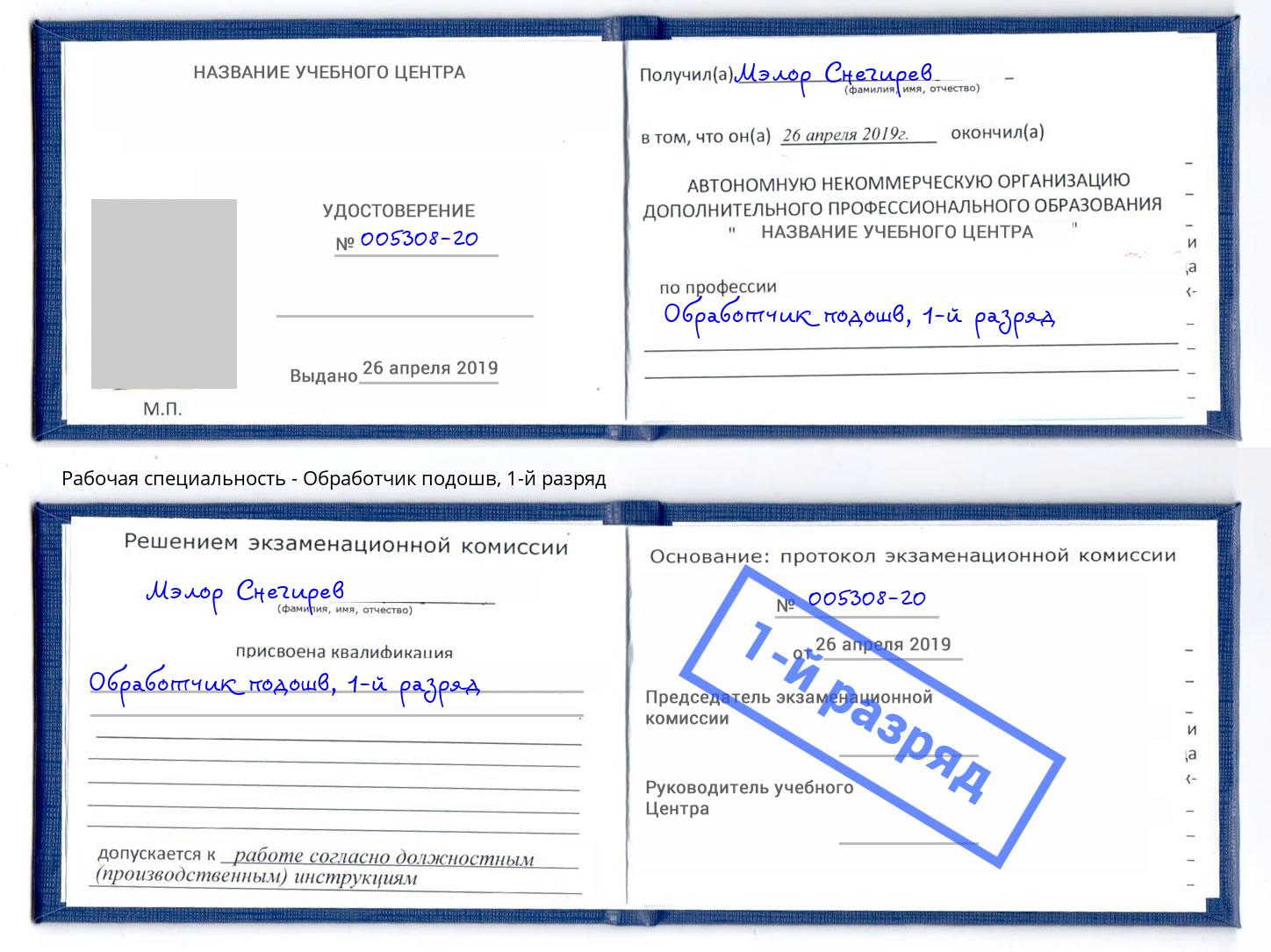 корочка 1-й разряд Обработчик подошв Зеленокумск