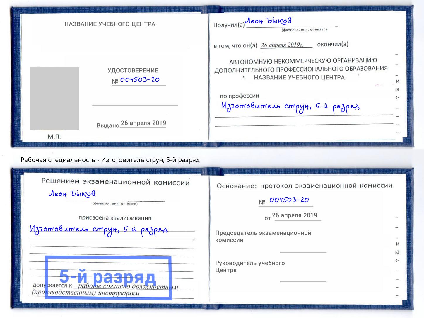 корочка 5-й разряд Изготовитель струн Зеленокумск